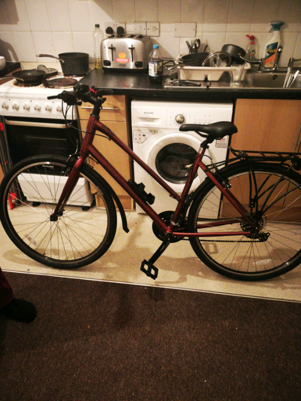 ridgeback motion 2020